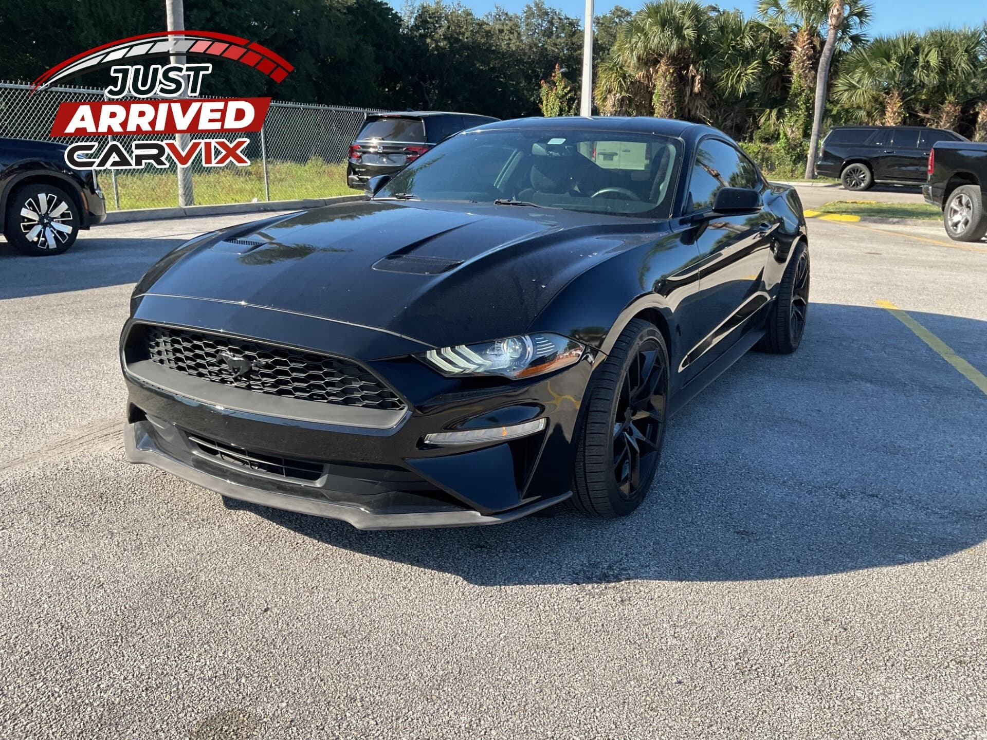 2019 FORD MUSTANG
