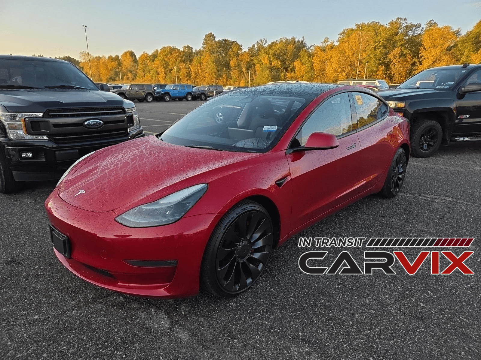 2023 TESLA MODEL 3